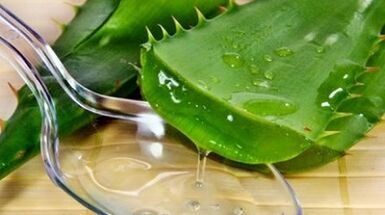 Aloe para aumentar a potência dos homens
